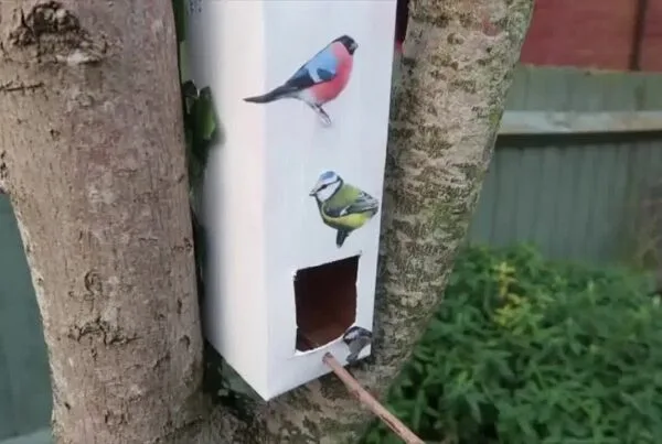 Creative kids making eco-friendly bird feeders from old juice cartons